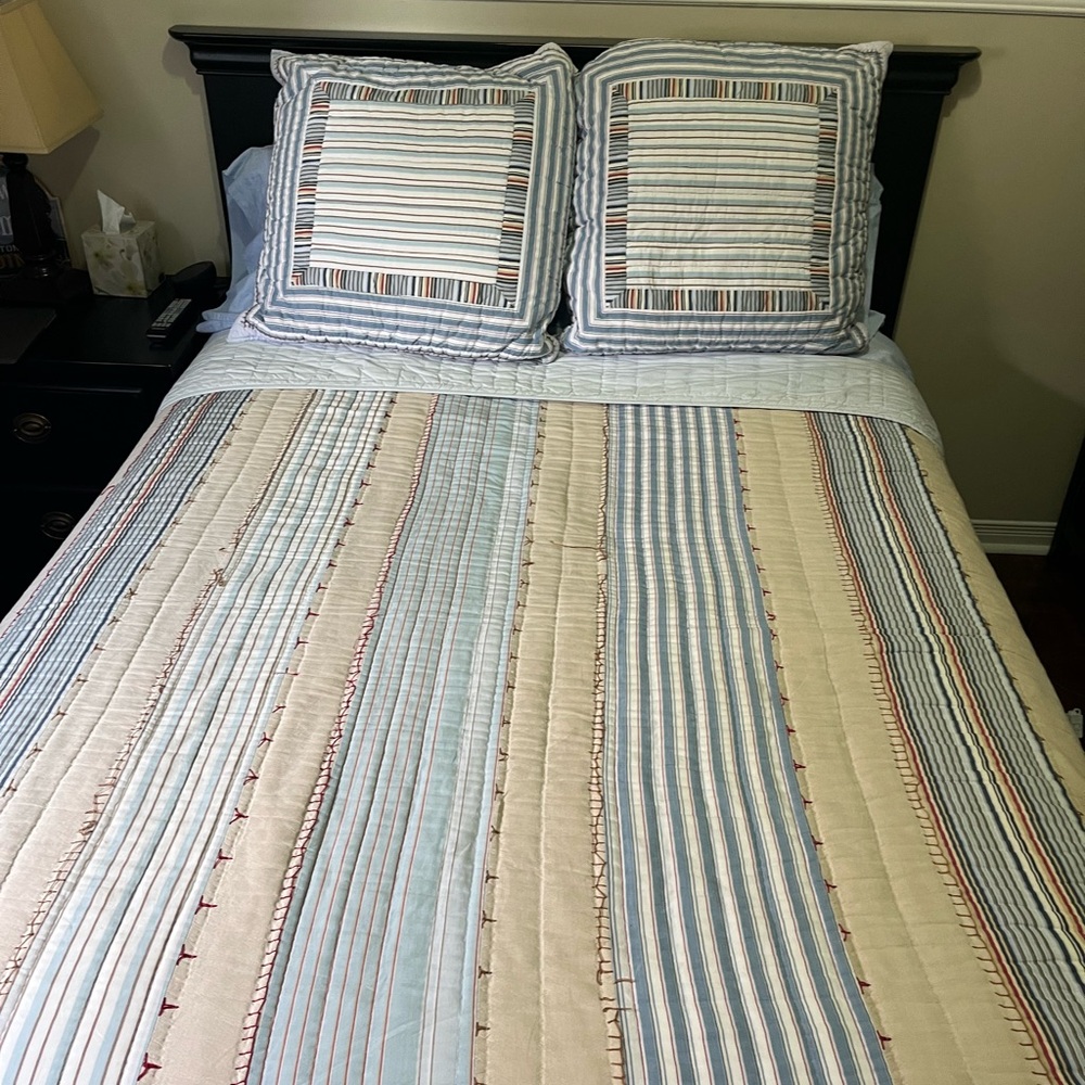 Pottery Barn Kids Queen Quilt/Euro Shams